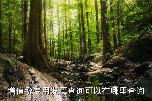 什么地方可以查發(fā)票內容，怎樣通過發(fā)票號碼查尋發(fā)票內容
