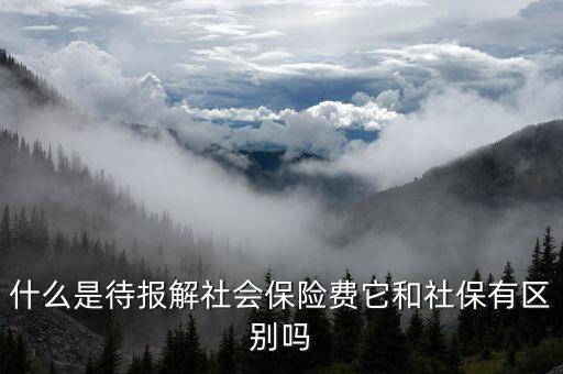 什么是待報(bào)解社會保險(xiǎn)費(fèi)它和社保有區(qū)別嗎
