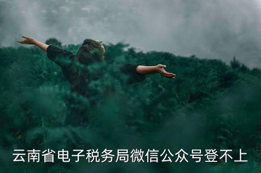 為什么云南省國家稅務(wù)局進不去，云南省電子稅務(wù)局微信公眾號登不上