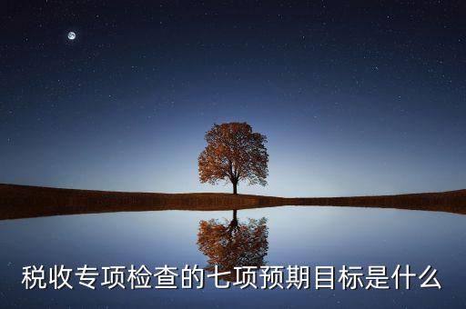 什么是稅收專項調查，稅收專項檢查的七項預期目標是什么