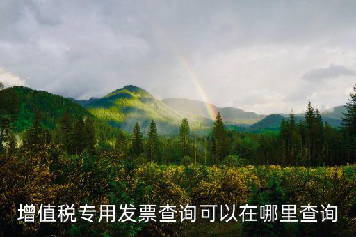 在什么網(wǎng)站查發(fā)票，發(fā)票查驗(yàn)在哪里查