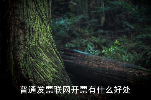 普通網(wǎng)絡(luò)發(fā)票有什么用，開普通發(fā)票網(wǎng)絡(luò)受理號(hào)有什么作用