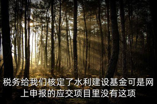 為什么水利建設無法申報，地稅電子稅務局的水利基金下滑找不到申報怎么辦