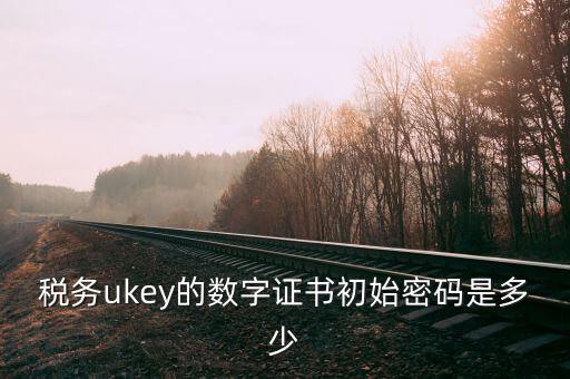 稅務(wù)ukey的數(shù)字證書(shū)初始密碼是多少