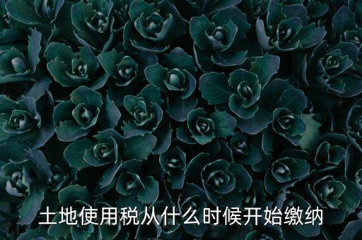 土地使用稅什么時(shí)候開始交，什么時(shí)候開始繳納房產(chǎn)稅和土地使用稅是否都要繳納