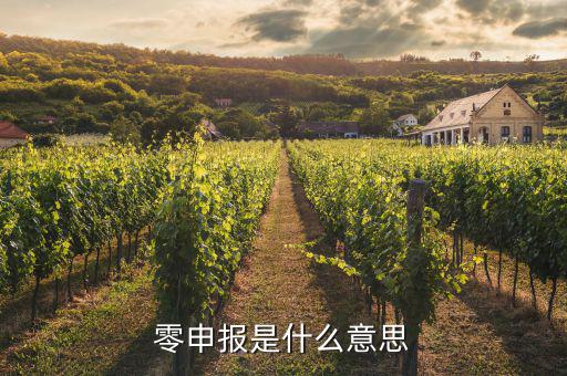 免于零申報什么意思，免于零申報是什么意思