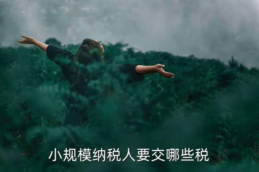小規(guī)模納稅人報(bào)什么稅，小規(guī)模納稅人要交哪些稅
