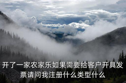 我要是以開普票為主 注冊什么性質(zhì)的公司好，開了一家農(nóng)家樂如果需要給客戶開具發(fā)票請問我注冊什么類型什么