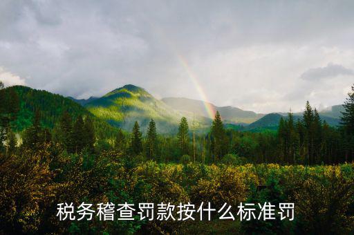 稅務稽查罰款按什么標準罰