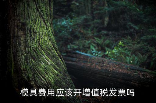 模具設(shè)計開發(fā)費開什么發(fā)票，模具開發(fā)及制造費一般開什么發(fā)票明細