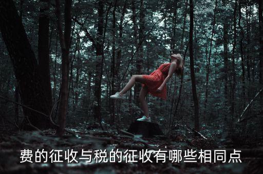 稅與費(fèi)有什么區(qū)別 稅收具有，費(fèi)的征收與稅的征收有哪些相同點(diǎn)
