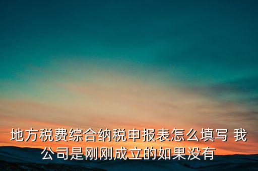 地稅不開(kāi)票需填什么表，地方稅費(fèi)綜合納稅申報(bào)表怎么填寫(xiě) 我公司是剛剛成立的如果沒(méi)有