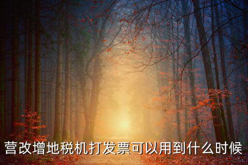 地稅發(fā)票能用到什么時(shí)候，納稅人已領(lǐng)取地稅機(jī)關(guān)印制的發(fā)票可以使用到什么時(shí)候