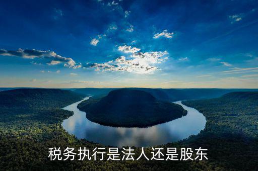稅收政策執(zhí)行是干什么的，稅務(wù)執(zhí)行是法人還是股東
