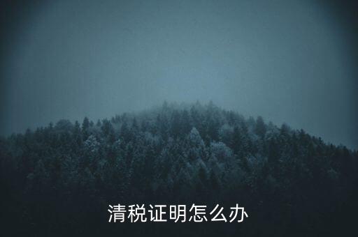 稅務(wù)無(wú)紙化辦公要什么材料，清稅證明怎么辦