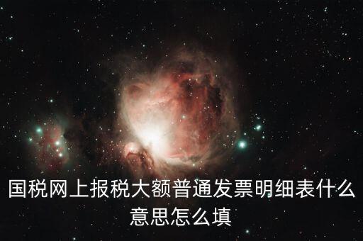 發(fā)票里的明細是什么意思，國稅網上報稅大額普通發(fā)票明細表什么意思怎么填