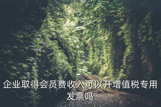 企業(yè)取得會員費(fèi)收入可以開增值稅專用發(fā)票嗎