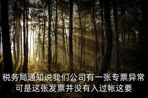 稅務(wù)局通知說我們公司有一張專票異?？墒沁@張發(fā)票并沒有入過帳這要