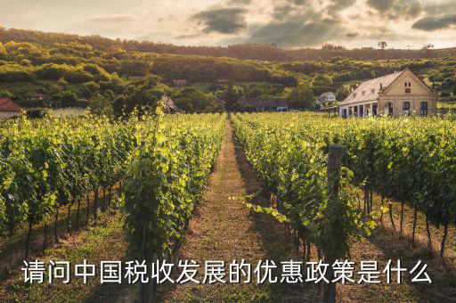 請問中國稅收發(fā)展的優(yōu)惠政策是什么