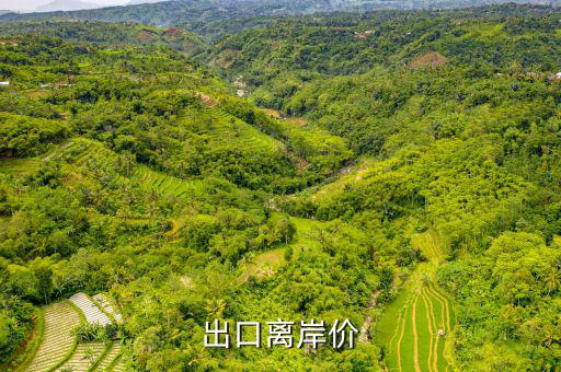 出口貨物離岸價(jià)是什么，出口離岸價(jià)