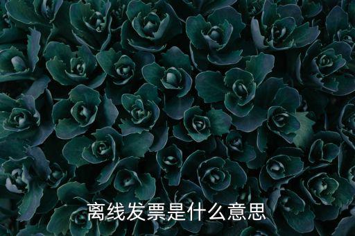 離線開(kāi)票什么意思，離線發(fā)票是什么意思