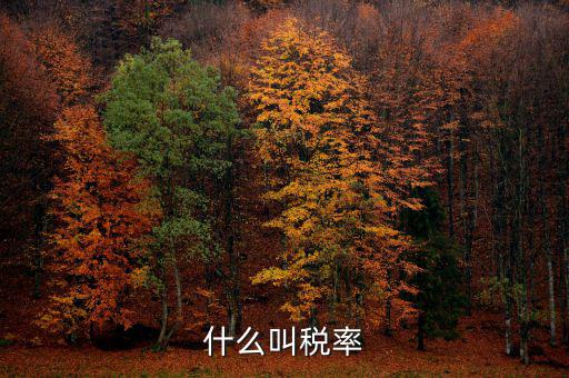 什么叫增值稅稅率，增值稅普通發(fā)票的稅率是什么意思