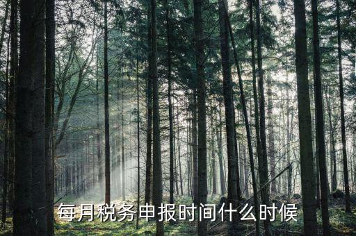 什么時候教育稅附加申報，每月稅務(wù)申報時間什么時候