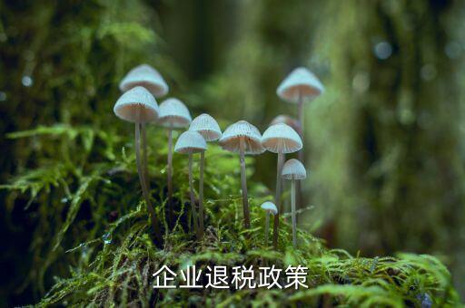 什么是企業(yè)所得稅退稅，企業(yè)所得稅可以退稅嗎