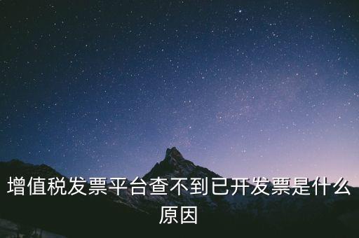 增值稅發(fā)票平臺(tái)查不到已開發(fā)票是什么原因