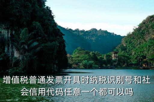 發(fā)票 社會代碼是什么意思，現(xiàn)在開發(fā)票要的社會信用代碼是誰的代碼
