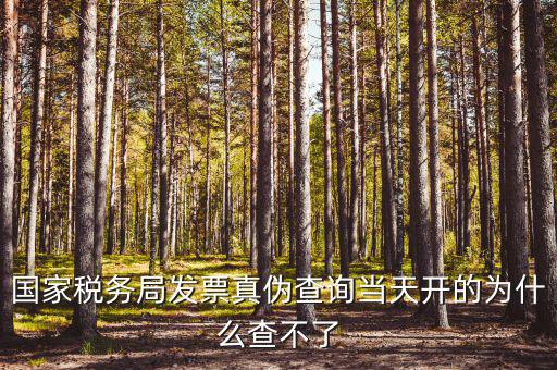 國(guó)家稅務(wù)局發(fā)票真?zhèn)尾樵儺?dāng)天開的為什么查不了