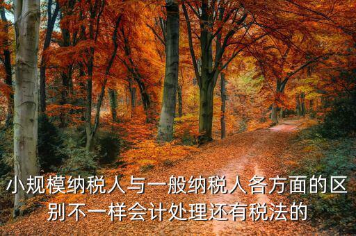 小規(guī)模納稅人與一般納稅人各方面的區(qū)別不一樣會(huì)計(jì)處理還有稅法的