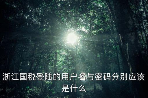 浙江國(guó)稅密碼是什么意思，浙江地稅開(kāi)票軟件中數(shù)據(jù)庫(kù)密碼是多少