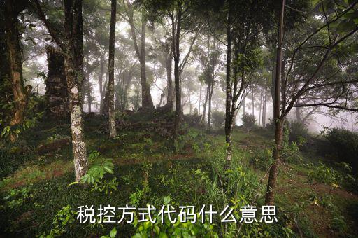 什么叫稅控碼，稅控方式代碼什么意思