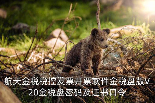 新稅盤證書口令是什么，金稅盤初始密碼和口令是多少