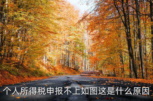 個(gè)稅申報(bào)失敗為什么，8月份個(gè)稅申報(bào)反饋時(shí)申報(bào)失敗怎么回事問專管員說已經(jīng)申報(bào)了但