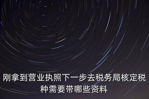 湖北國(guó)稅增加稅種需要帶什么資料，企業(yè)報(bào)稅種需要帶什么資料
