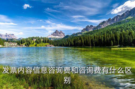 發(fā)票內容信息咨詢費和咨詢費有什么區(qū)別