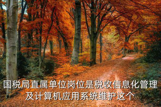 稅收信息化崗位做什么，信息化在稅務管理中有什么作用