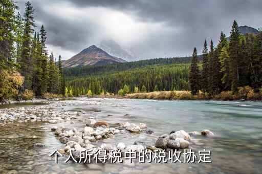 什么是協(xié)定個(gè)稅，個(gè)人所得稅中的稅收協(xié)定
