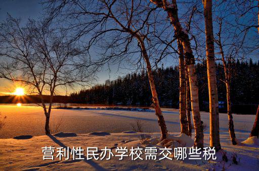 學(xué)校要交什么稅，營利性民辦學(xué)校需交哪些稅