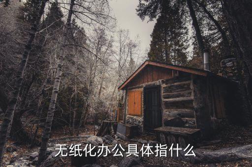 國(guó)稅無(wú)紙化辦公是什么意思，無(wú)紙化辦公具體指什么