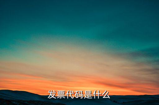 開(kāi)發(fā)票六位代碼是什么，增值稅專用發(fā)票6位開(kāi)票代碼是什么意思