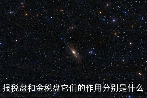 報(bào)稅盤做什么用的，報(bào)稅盤和金稅盤它們的作用分別是什么