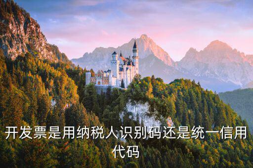 發(fā)票上的信用代碼是什么，現(xiàn)在開發(fā)票要的社會信用代碼是誰的代碼