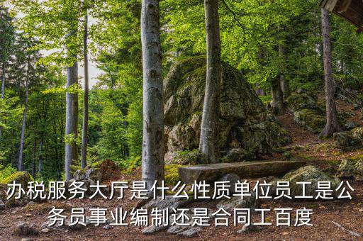 什么是辦稅服務(wù)大廳，辦稅服務(wù)廳的基本服務(wù)包括哪些