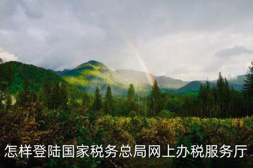 稅務局登錄什么瀏覽器可以，怎樣登陸國家稅務總局網(wǎng)上辦稅服務廳