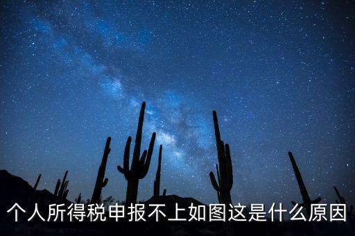 個稅申報不成功什么原因，個人所得稅申報不上如圖這是什么原因