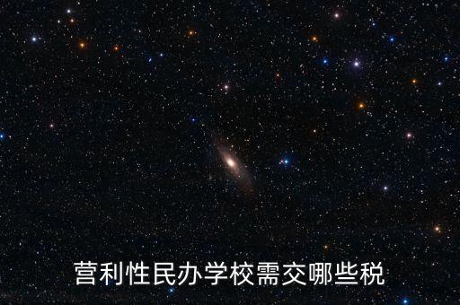 營利性民辦學(xué)校需交哪些稅