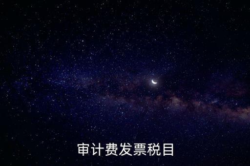 審計費(fèi)發(fā)票稅目